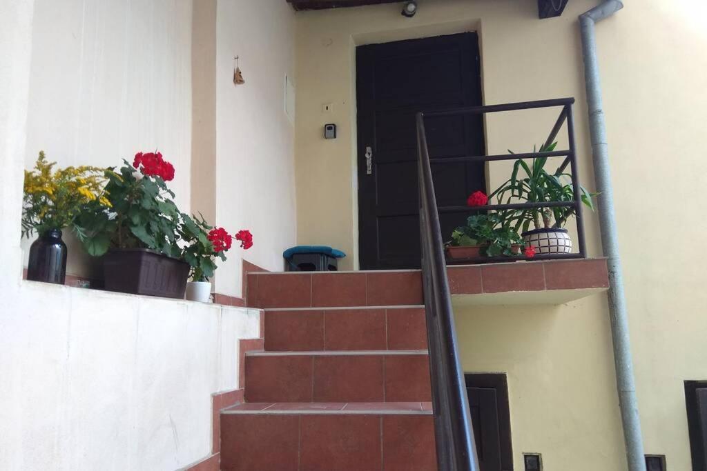 Apartman V Centru ออลอโมตซ์ ภายนอก รูปภาพ